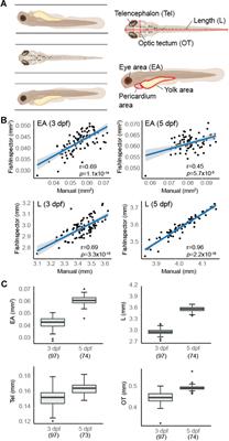 Assessment of Autism Zebrafish Mutant Models Using a High-Throughput Larval Phenotyping Platform